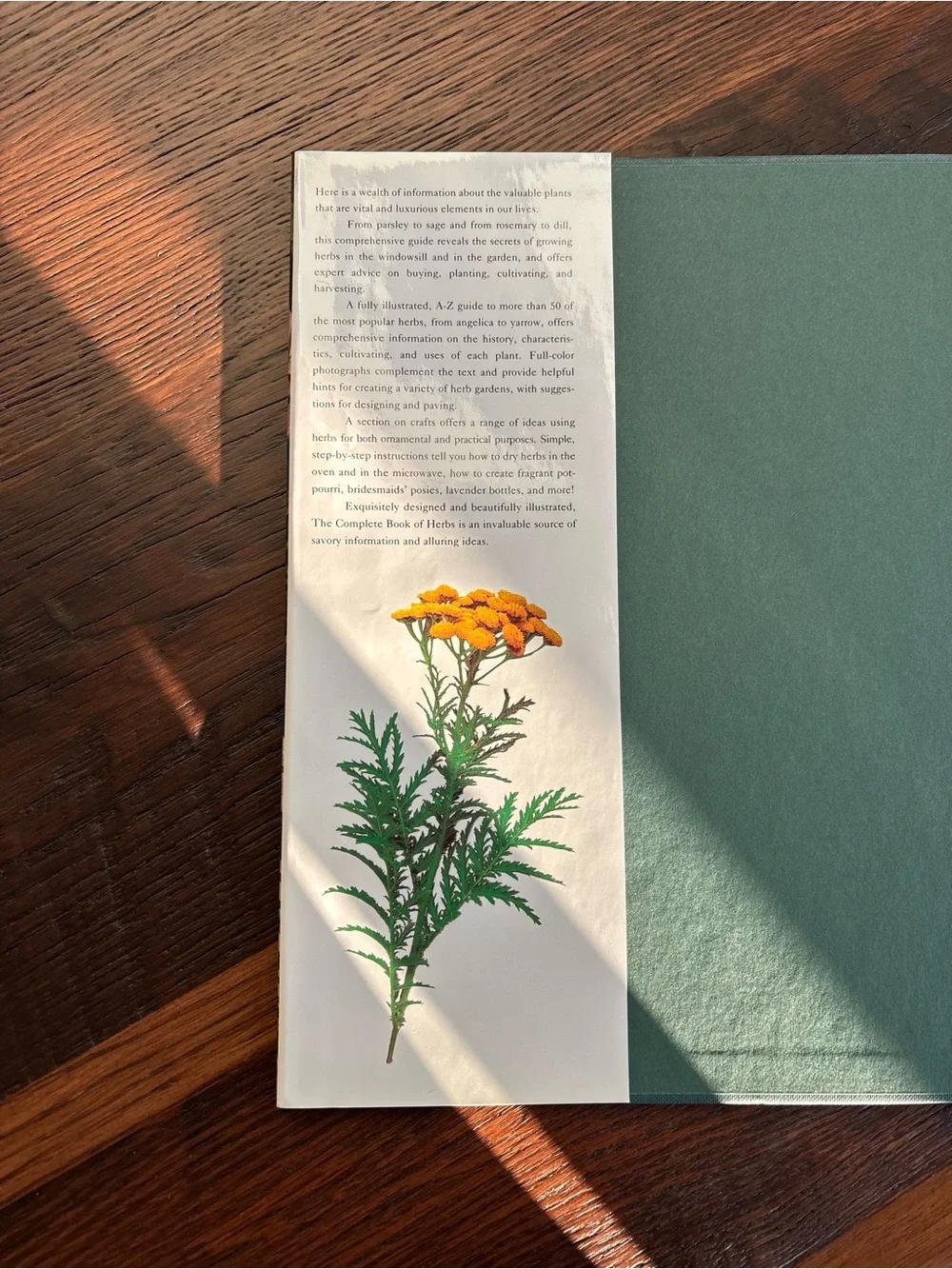 Vintage Hardcover Herb Book, The complete book of HERBS.1994,Gardens,Photographs